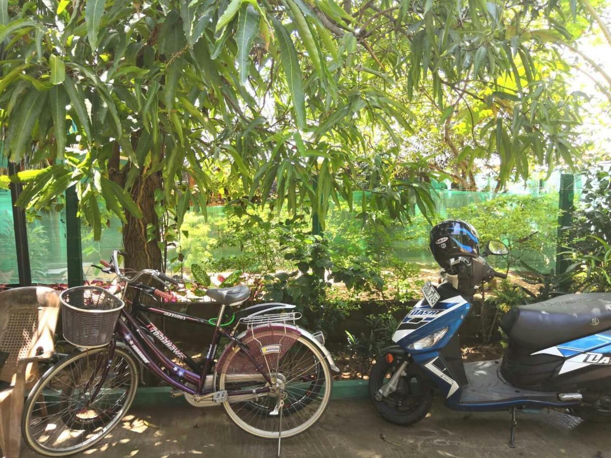 Alass Ga For Pets Lovers Trincomalee Exterior foto